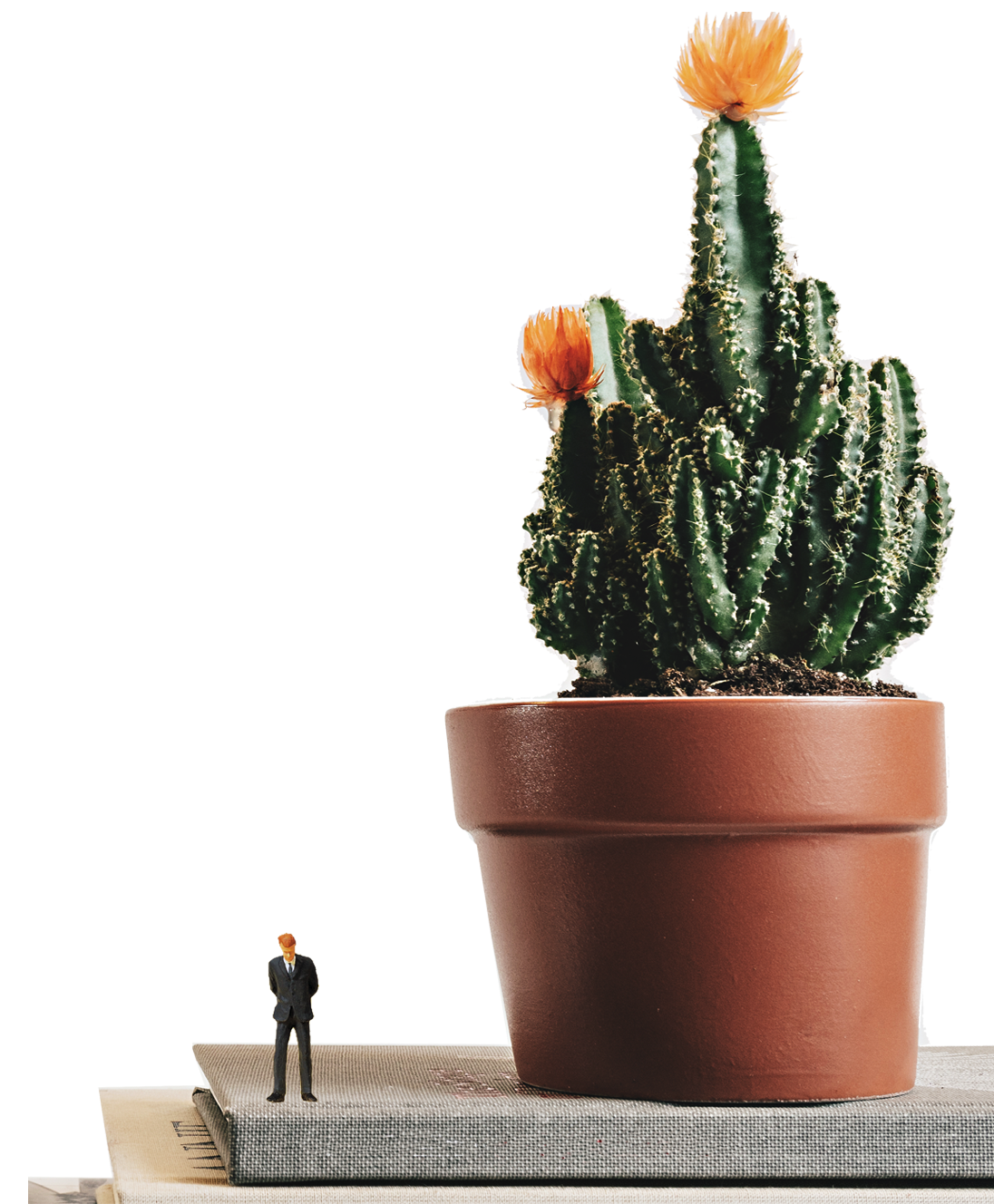 Die Werbeagentur Orange Sugar in Hagen für Webdesign, Grafikdesign, Fotografie, Werbemittel und SEO